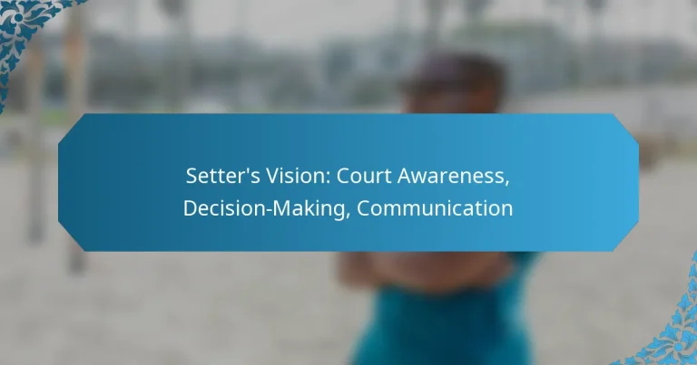 Setter’s Vision: Court Awareness, Decision-Making, Communication