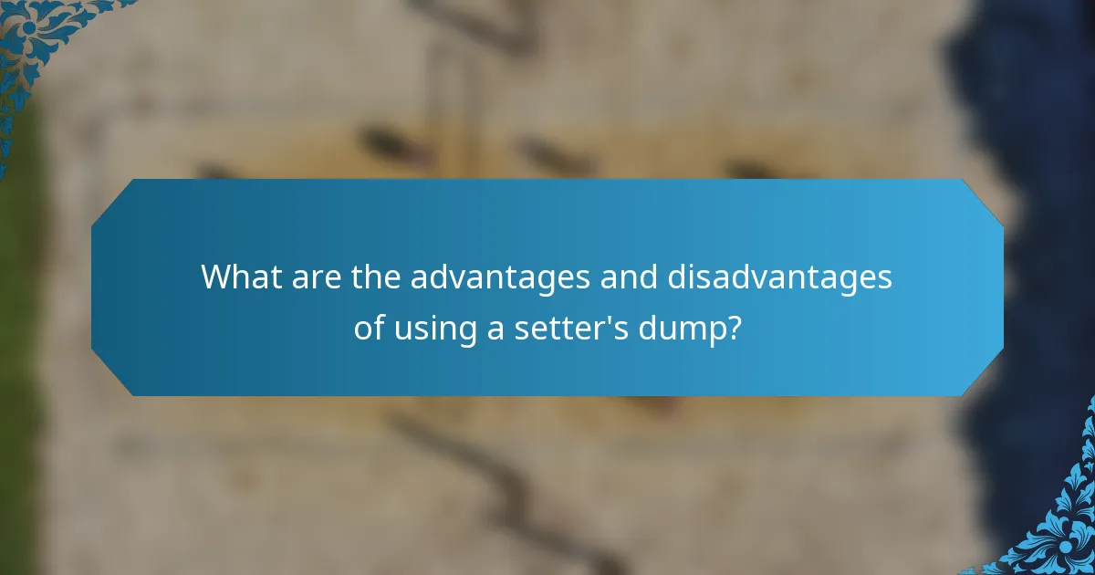 What are the advantages and disadvantages of using a setter's dump?